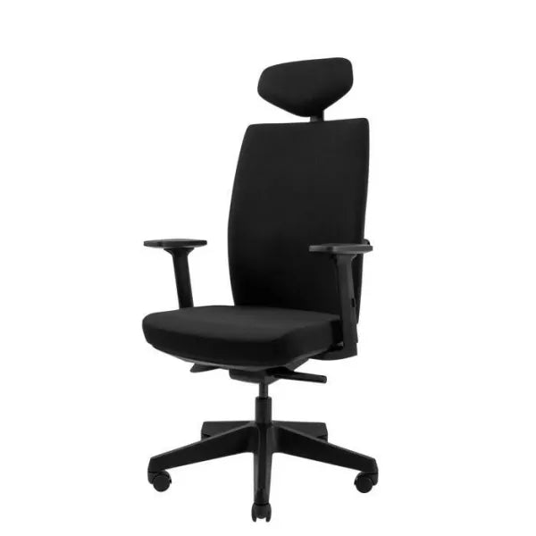 Office Chair Queen Ergo | size: Width: 70cm, Height: 127cm, Depth: 70cm | color: Black | image: 1 | variant: 2000003