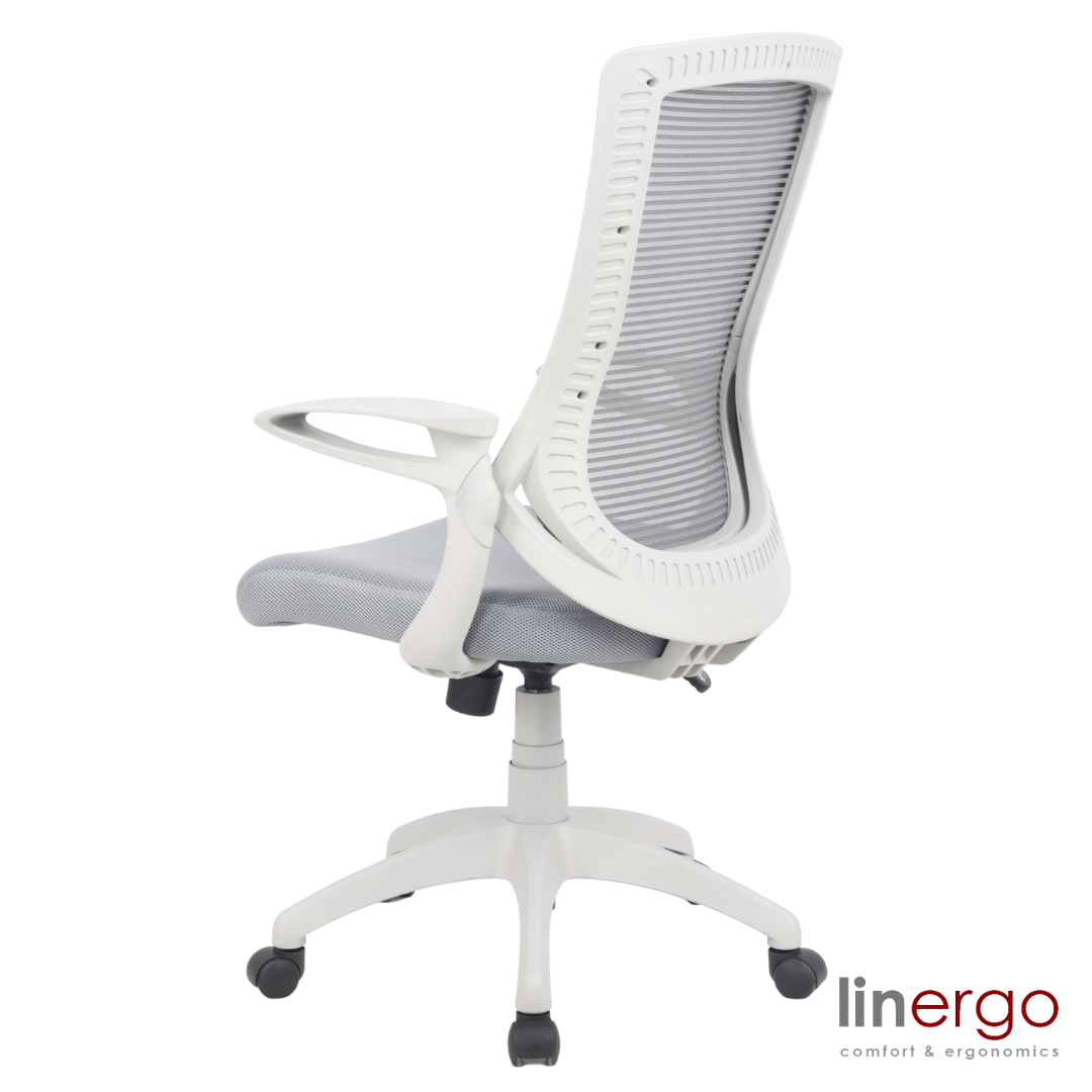 Office Chair Esko Ergo | size: Width: 58cm, Height: 103cm, Depth: 50cm | color: Black | image: 2 | variant: 1014104