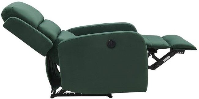 Lounge Chair Pegaz | size: Width: 64cm, Height: 102cm, Depth: 88cm | color: Green | image: 4 | variant: 1005057
