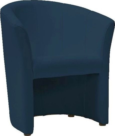 Lounge Chair TM1 1 | size: Width: 60cm, Height: 76cm, Depth: 67cm | color: Blue | image: 1 | variant: 1005693