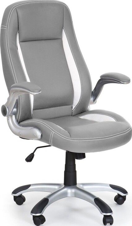 Office Chair Colleferro | size: Width: 67cm, Height: 120cm, Depth: 65cm | color: Gray | image: 1 | variant: 1002945