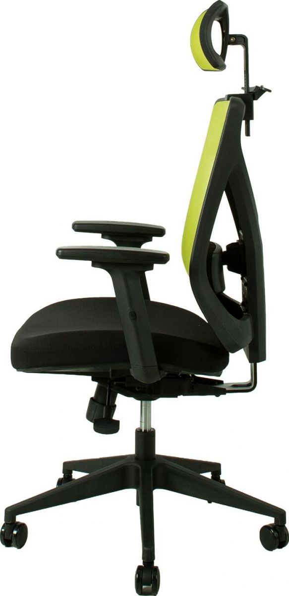Office Chair Colwyn Bay | size: Width: 64cm, Height: 110-120cm, Depth: 65cm | color: Green | image: 2 | variant: 1001202