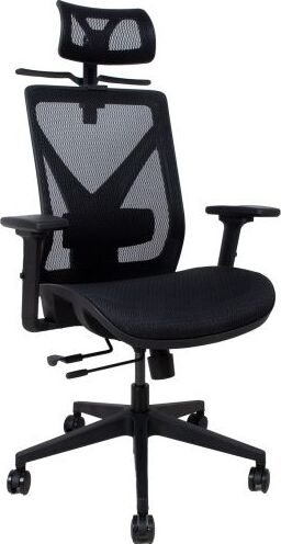 Office Chair Colwyn Bay | size: Width: 64cm, Height: 120cm, Depth: 65cm | color: Black | image: 1 | variant: 1001204