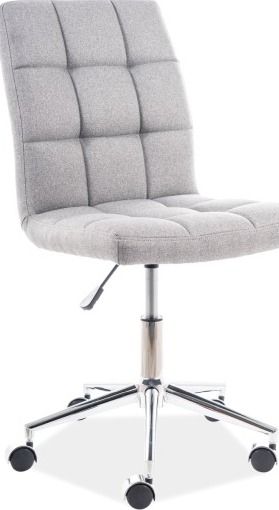 Office Chair Derry | size: Width: 45cm, Height: 87-97cm, Depth: 40cm | color: Gray | image: 1 | variant: 1004139