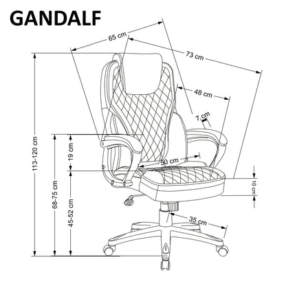 Office Chair Gandalf | size: Width: 65cm, Height: 113cm, Depth: 73cm | color: Black/Grey | image: 2 | variant: 1014086