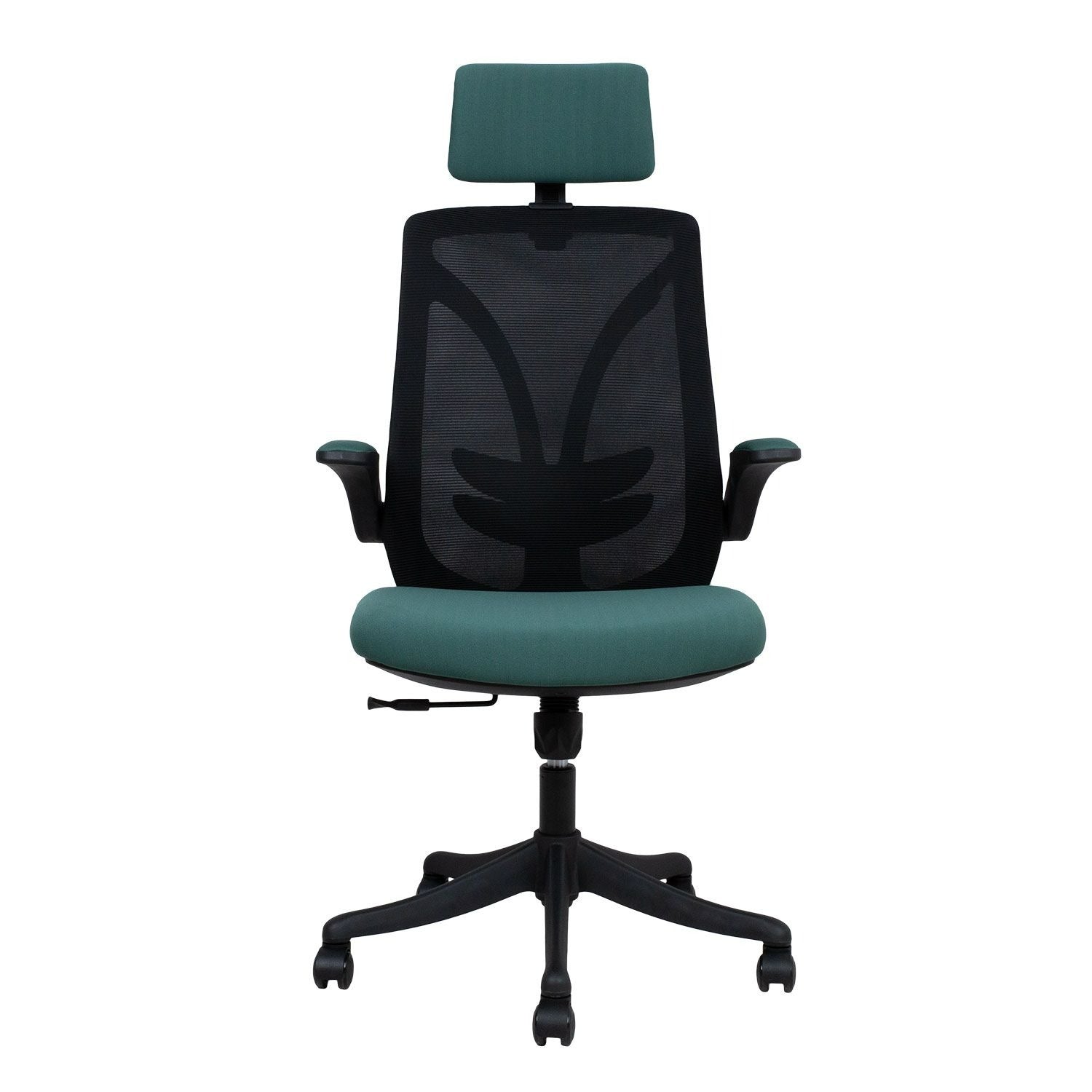 Office Chair Llandeilo | size: Width: 64cm, Height: 126cm, Depth: 62.5cm | color: Black/Green | image: 1 | variant: 1001248